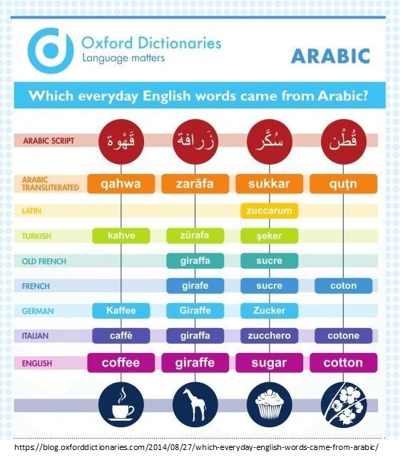 اللغة العربية وعاء ثقافة وهوية أ مة في ميزان اللغات العالمية