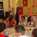 تربية بيئية طيور