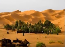 واحة في قلب الصحراء - عالم عربي
