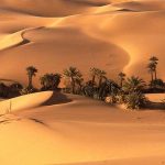 واحات أوباري