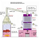 تقطير الورد
