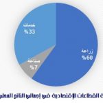 قطاعات الصومال