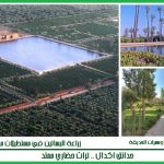 الزراعة في أكدال