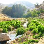 مسار واد القلط .. ما بين عين الفوار و اريحا