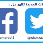Facebook and Twitter 2