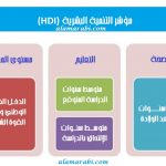 شكل رئيسي