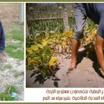 قياس مستوى التربة