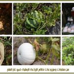 منتجات