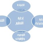 شكل 7 : الإدارة والتتظيم