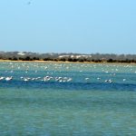 Diawling National Park