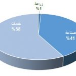 توزيع الدخل UAE