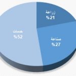 توزيع العمل مصر
