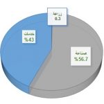 توزيع الدخل البحرين