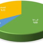 توزيع الدخل الصومال