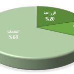 توزيع الدخل اليمن