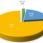 توزيع الدخل جيبوتي