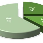 توزيع العمالة جيبوتي