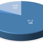 توزيع العمل الصومال