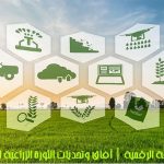1صورة