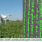 مسيرة واعشاب